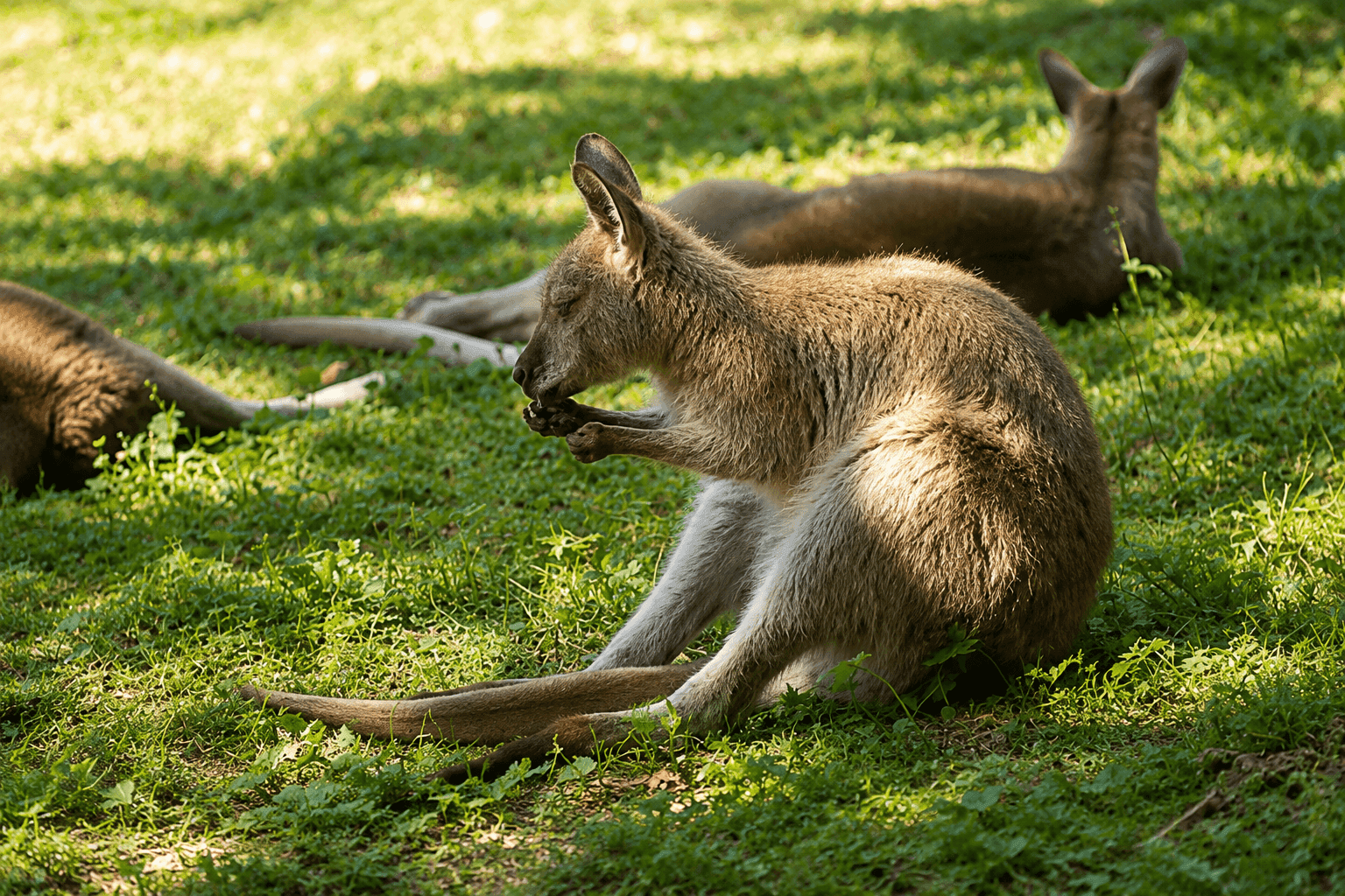 Tierpark Bad Liebenstein