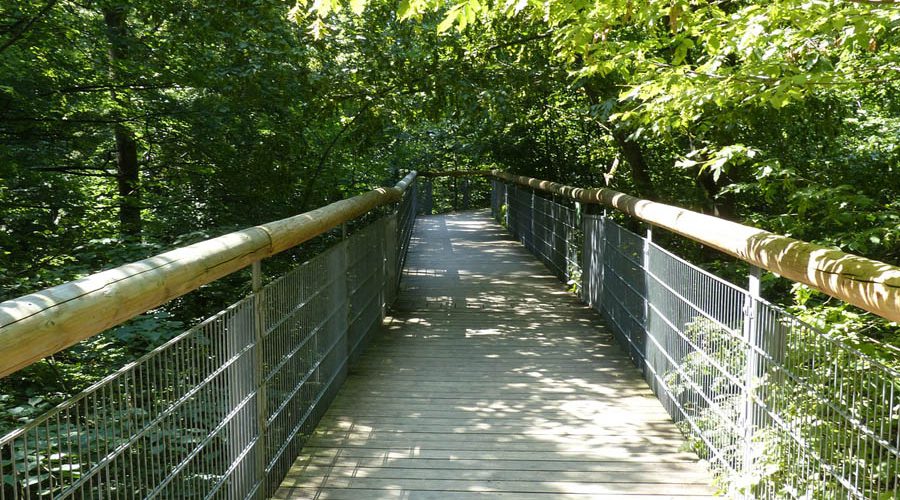 Baumkronenpfad im Nationalpark Hainich